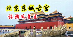 快来草逼网站中国北京-东城古宫旅游风景区