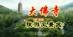 鸡吧插的逼视频中国浙江-新昌大佛寺旅游风景区